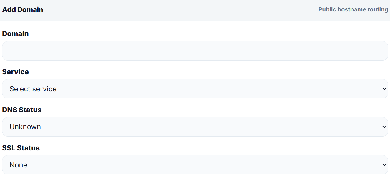 Domain routing and SSL configuration view
